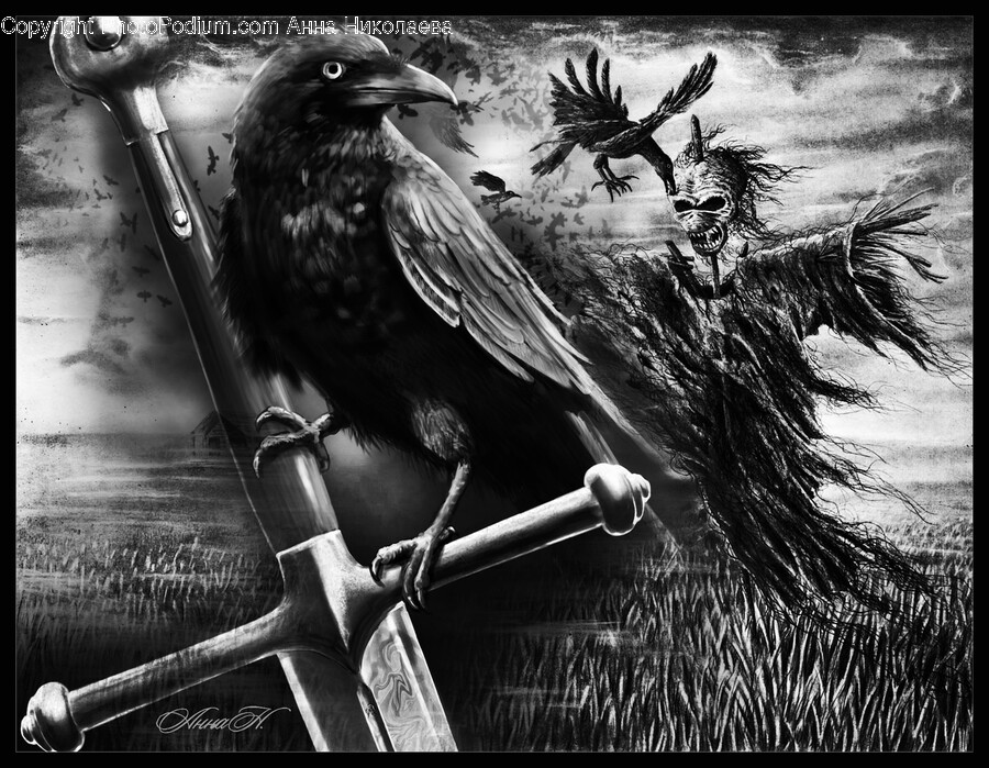 Bird, Animal, Crow, Blackbird, Agelaius