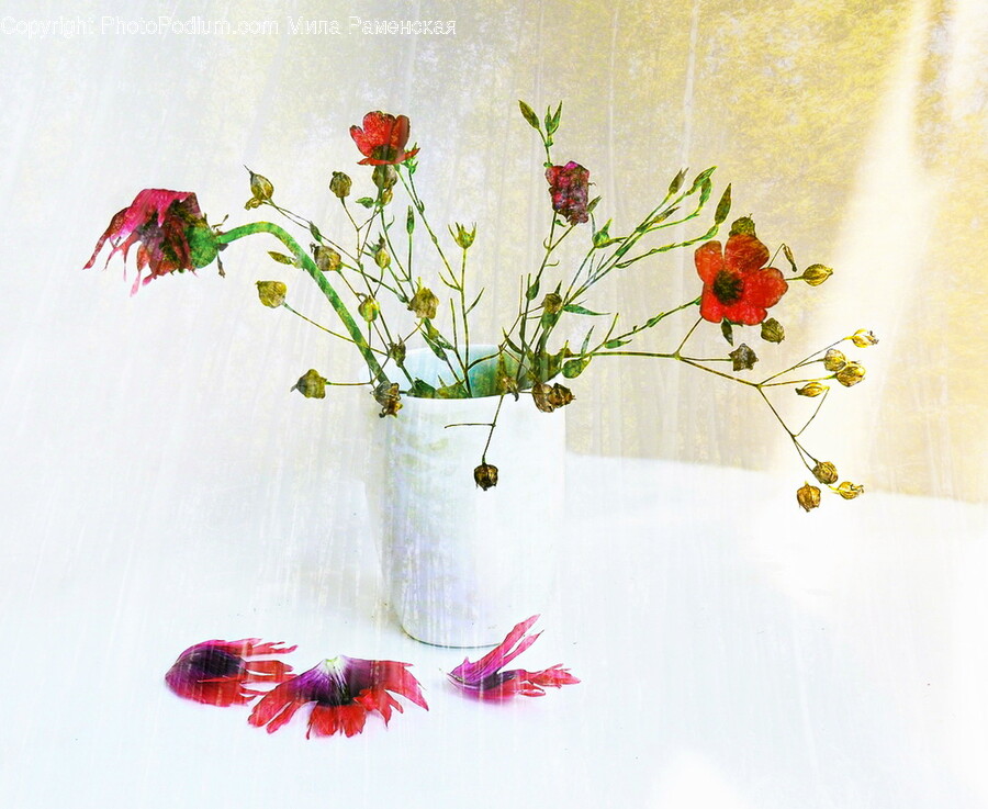 Plant, Flower, Blossom, Floral Design, Pattern