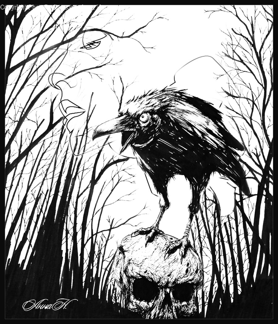 Bird, Animal, Drawing, Art, Silhouette