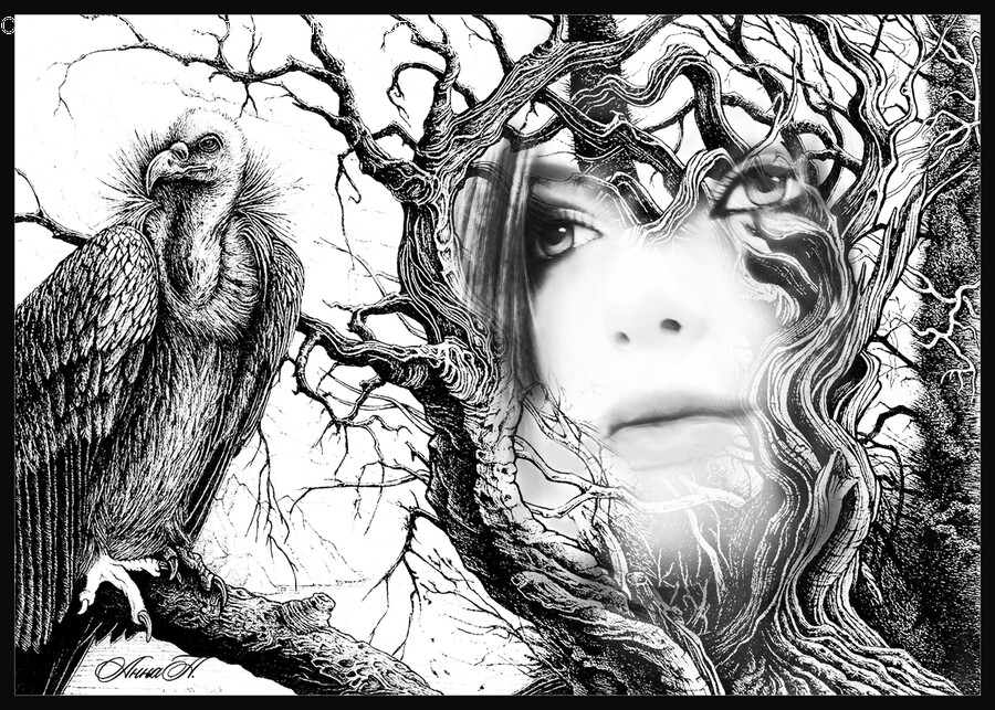 Drawing, Person, Art, Human, Sketch