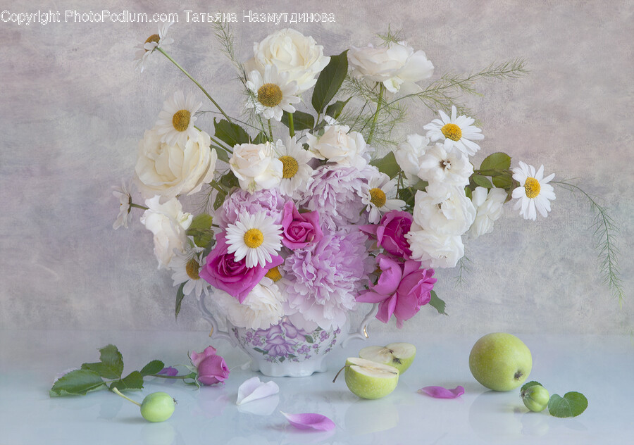 Plant, Flower, Blossom, Flower Arrangement, Flower Bouquet