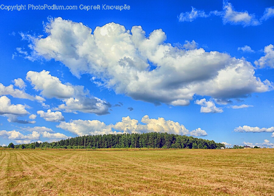 Nature, Outdoors, Weather, Grassland, Field
