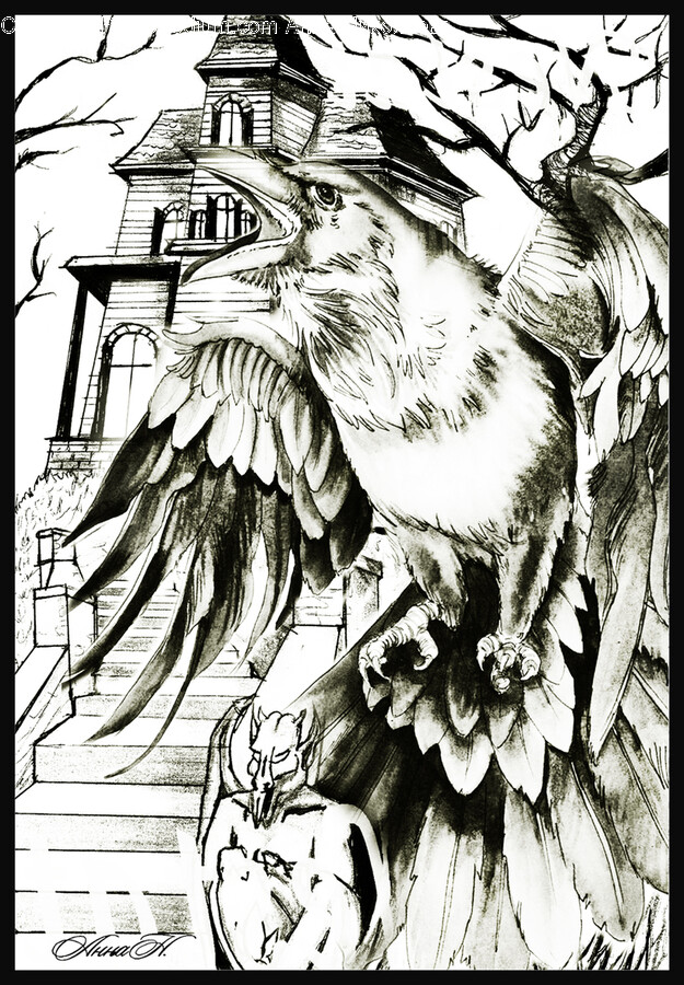 Eagle, Bird, Animal, Art, Drawing
