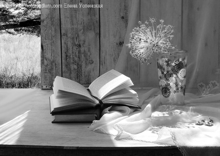 Plant, Flower, Blossom, Furniture, Overcoat