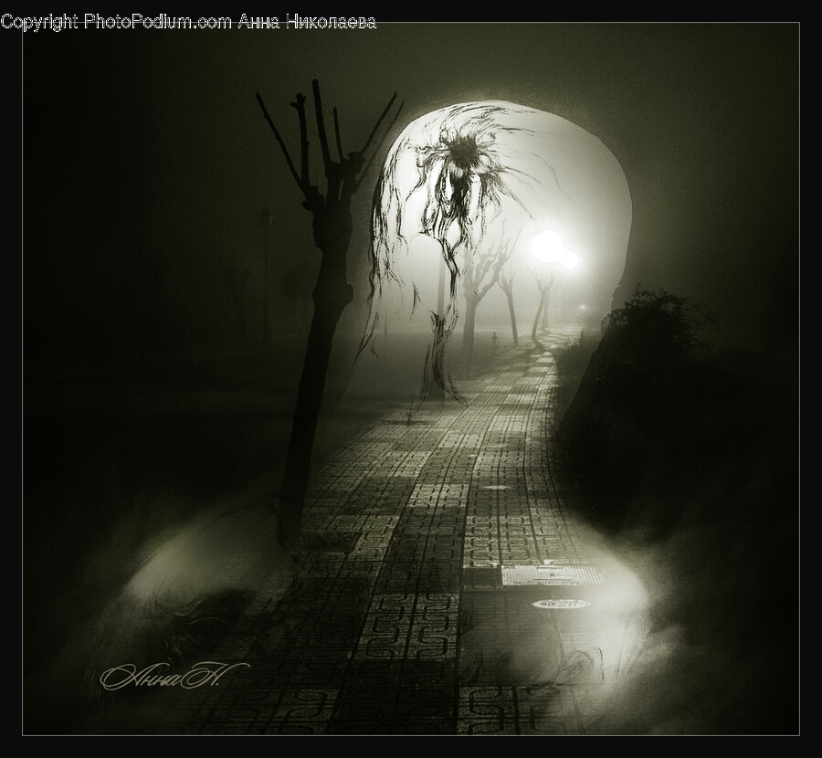 Nature, Outdoors, Walkway, Path, Weather