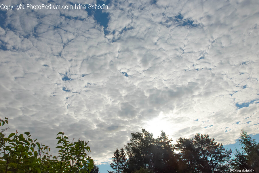 Nature, Outdoors, Weather, Cumulus, Cloud