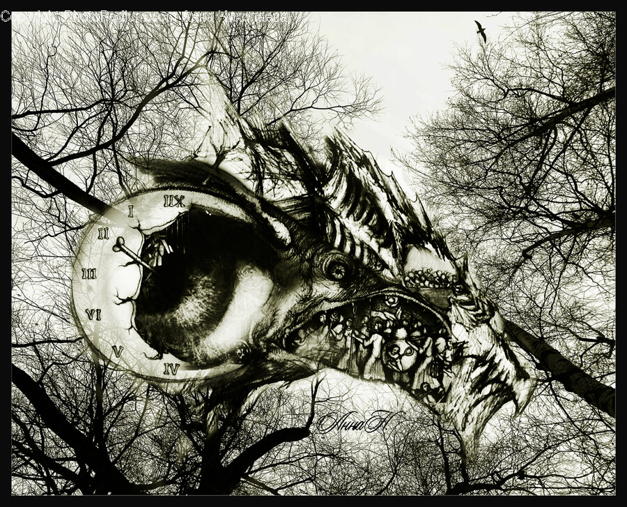 Tree, Plant, Tree Trunk, Hole, Bird