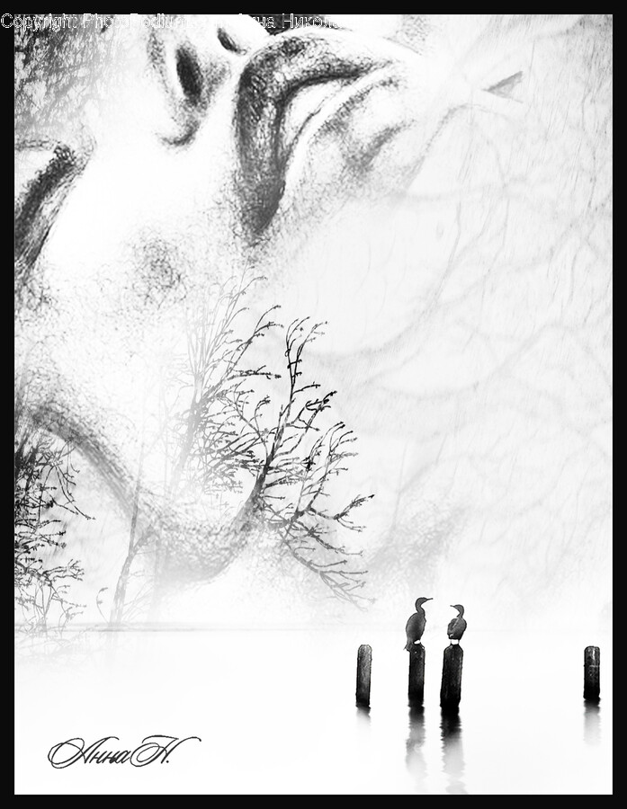 Drawing, Person, Art, Human, Sketch