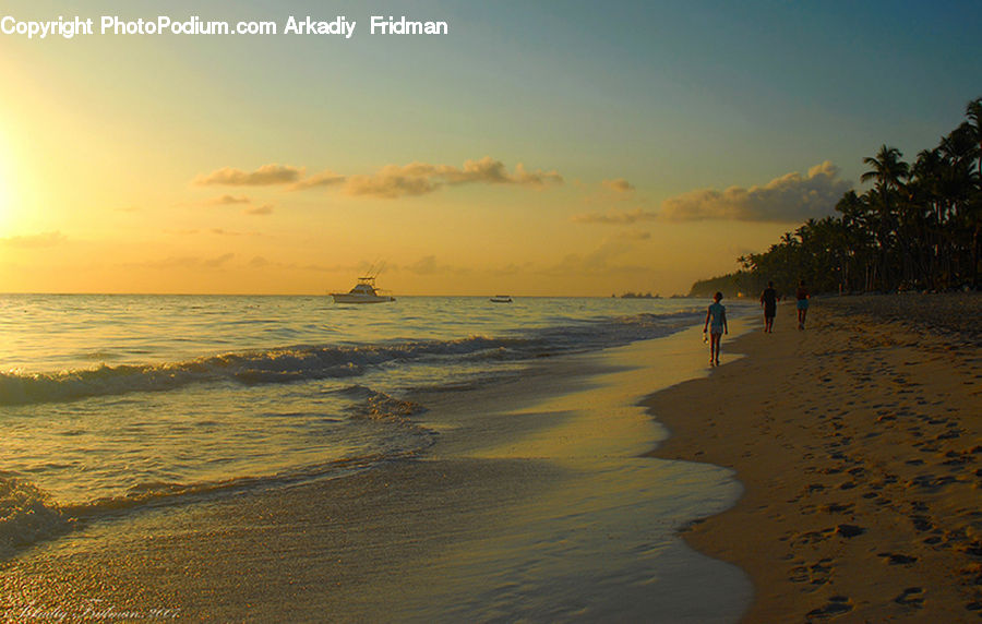 Beach, Coast, Outdoors, Sea, Water, Footprint