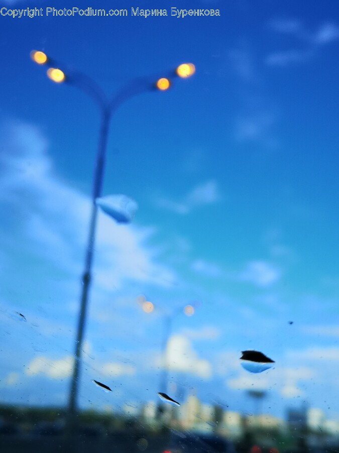 Nature, Lamp Post, Outdoors, Bird, Animal