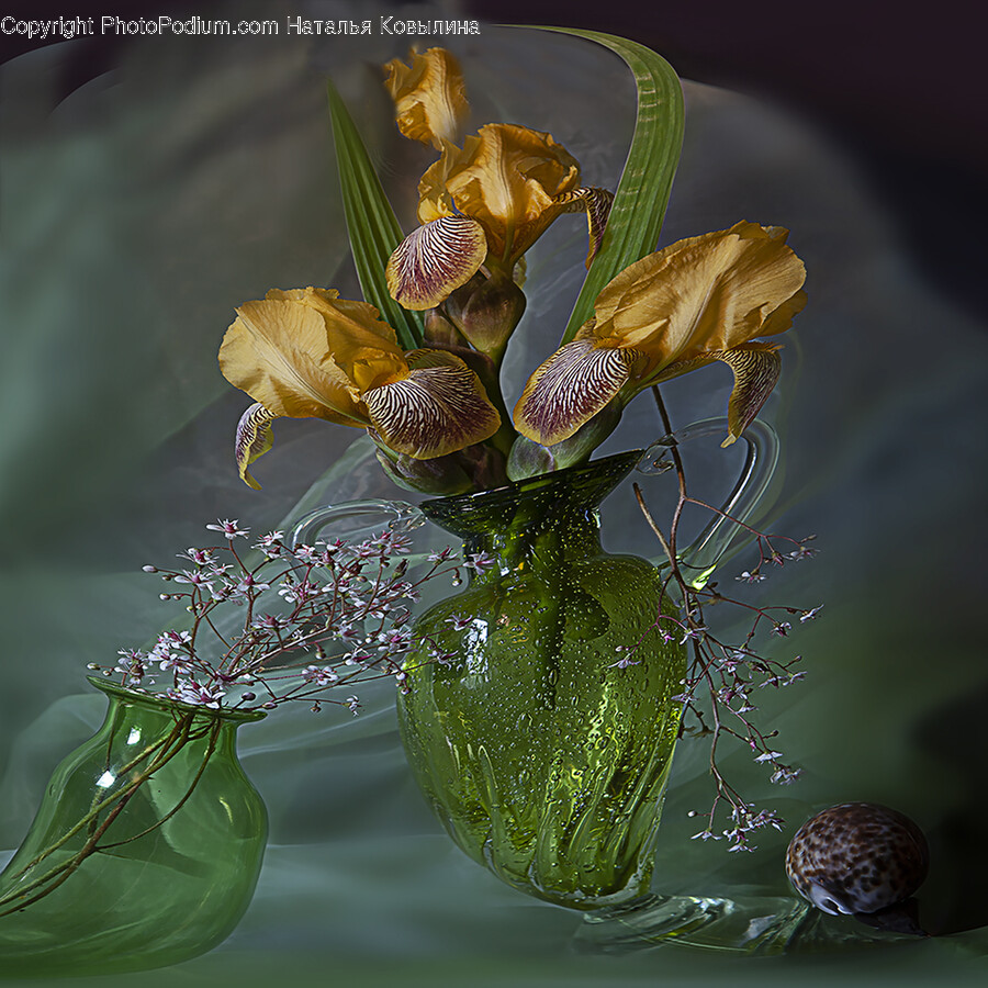 Plant, Ikebana, Flower, Flower Arrangement, Vase