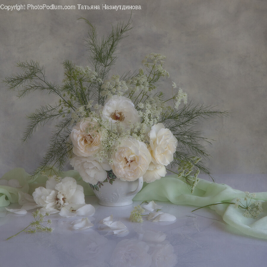 Plant, Flower, Blossom, Rose, Flower Arrangement