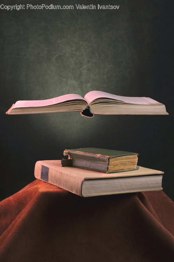 Book, Novel, Bird, Animal