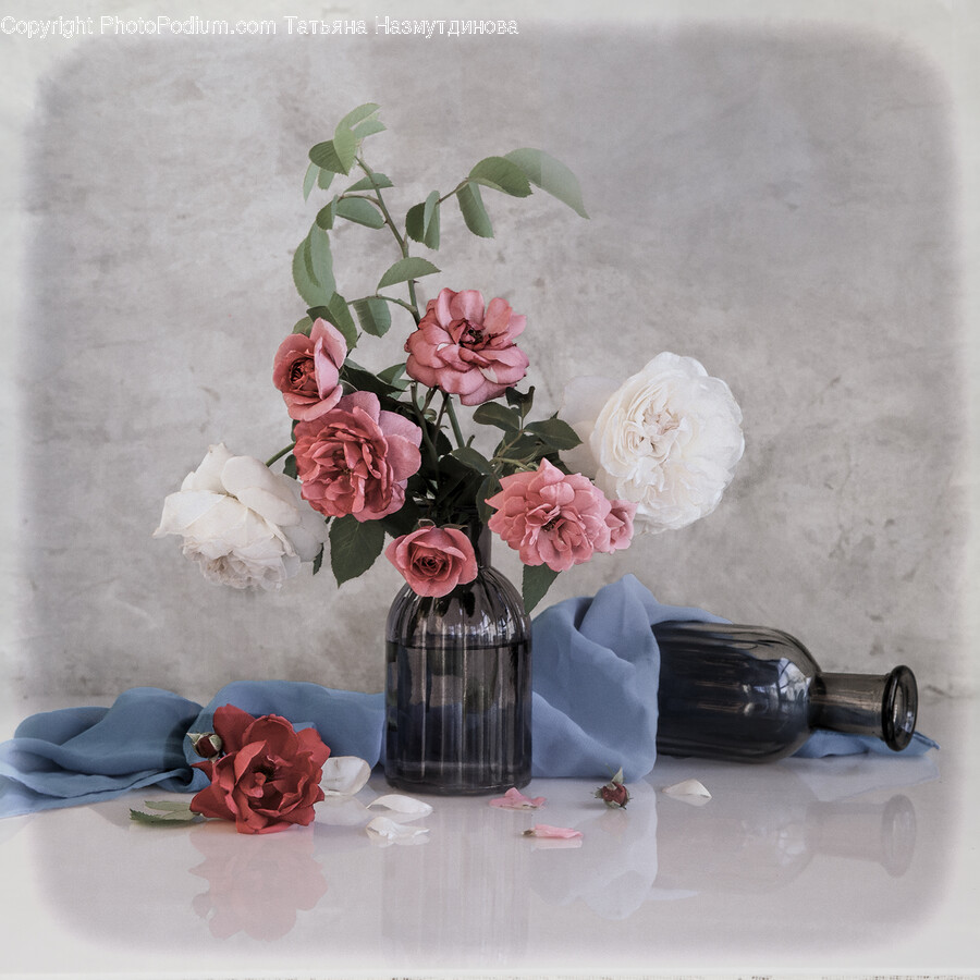 Plant, Flower, Blossom, Flower Arrangement, Flower Bouquet