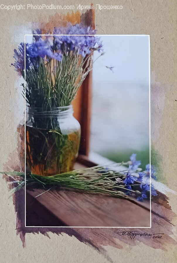 Plant, Flower, Blossom, Flower Arrangement, Flower Bouquet
