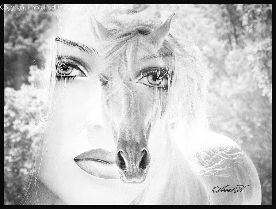 Drawing, Art, Sketch, Horse, Animal