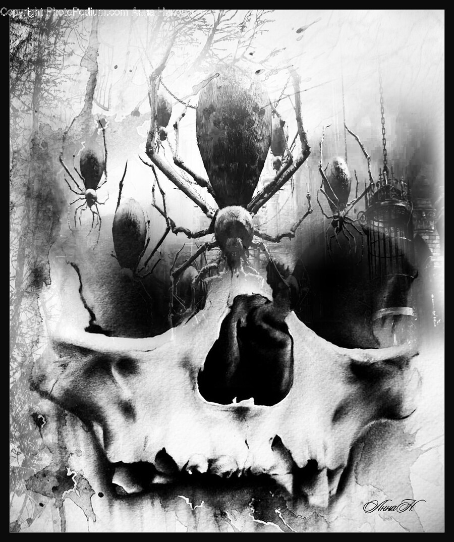 Hole, Art, Insect, Animal, Invertebrate