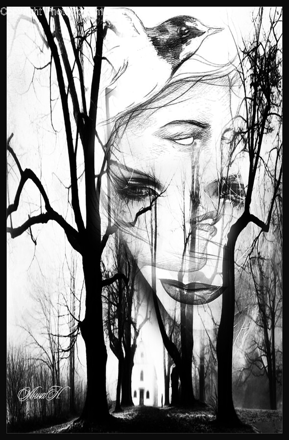 Drawing, Art, Sketch, Modern Art, Face