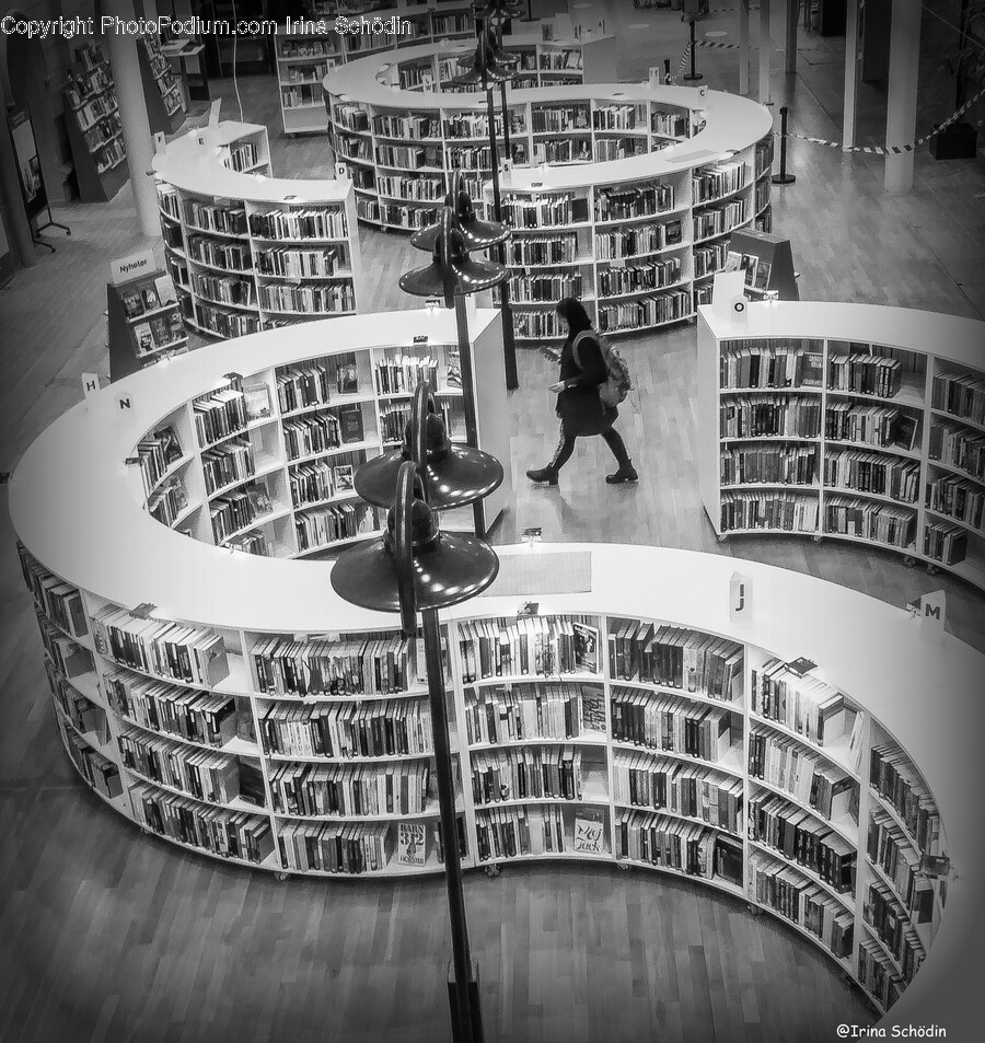 Indoors, Room, Library, Book, Person