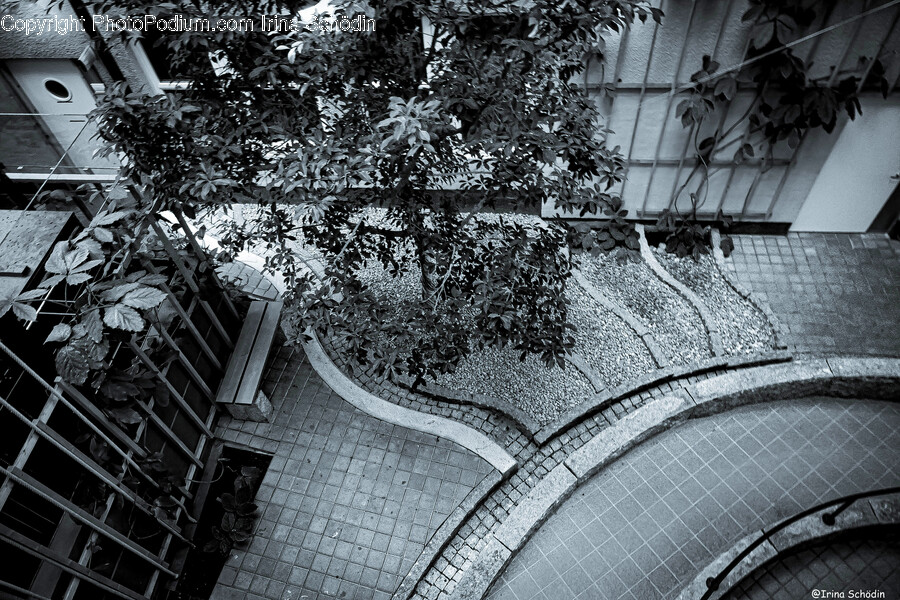 Handrail, Banister, Tree, Plant, Railing