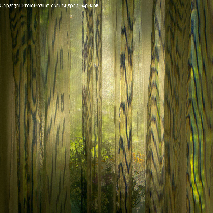 Plant, Grass, Tree, Wood, Curtain
