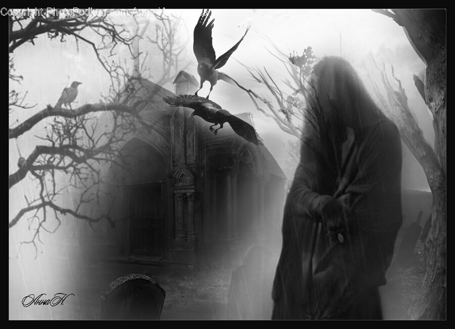 Person, Human, Bird, Animal, Nature