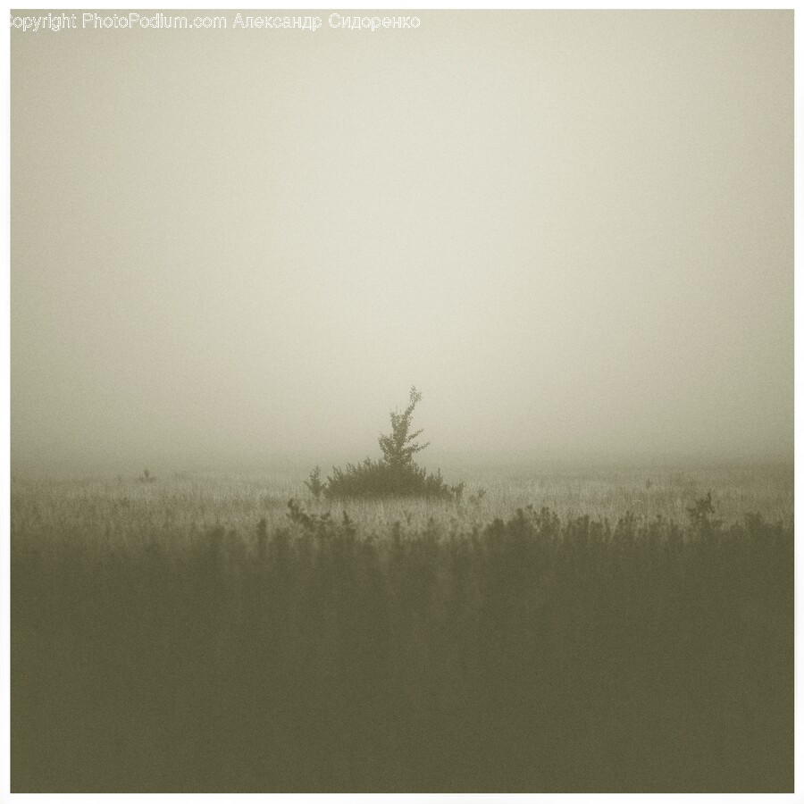 Nature, Weather, Outdoors, Fog, Mist