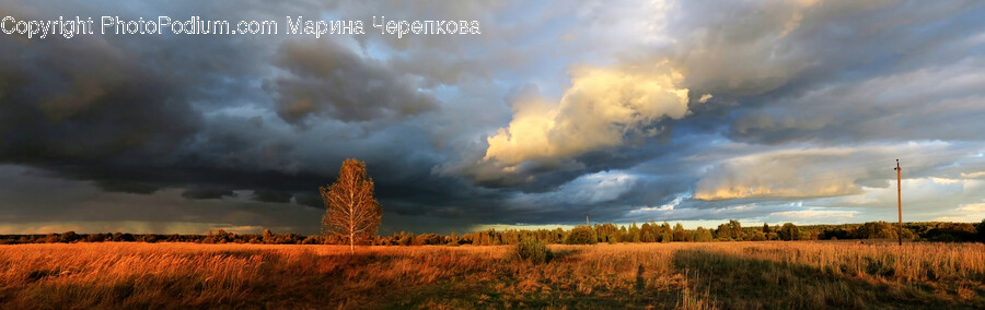 Nature, Weather, Outdoors, Cumulus, Sky