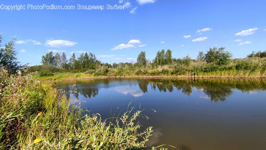 Water, Nature, Land, Outdoors, Pond