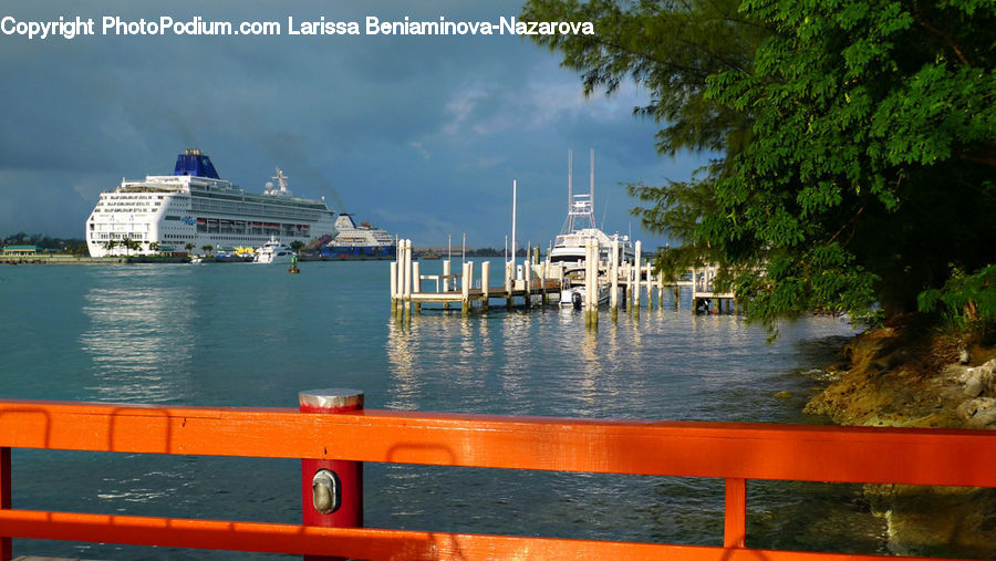 Cruise Ship, Ocean Liner, Ship, Vessel, Plant, Potted Plant, Ferry