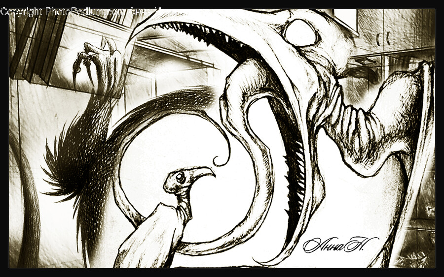 Drawing, Art, Bird, Animal, Sketch