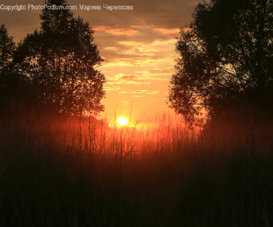 Nature, Outdoors, Sky, Sunset, Dusk