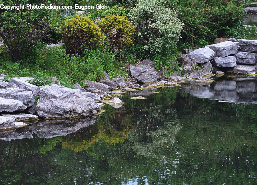 Outdoors, Pond, Water, Plant, Potted Plant, Rock, Creek