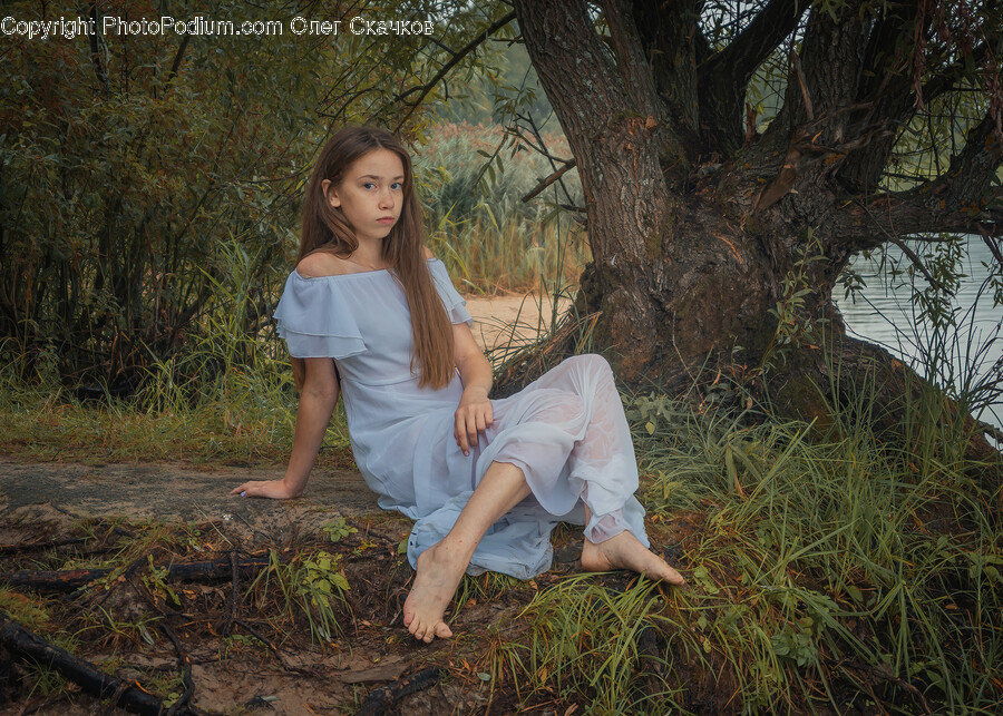 Clothing, Apparel, Tree, Plant, Person