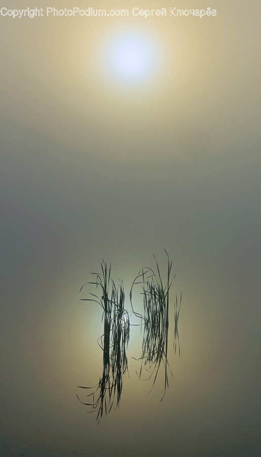 Nature, Outdoors, Grass, Plant, Weather
