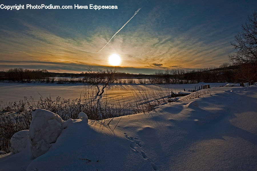 Ice, Outdoors, Snow, Plant, Potted Plant, Sand, Soil