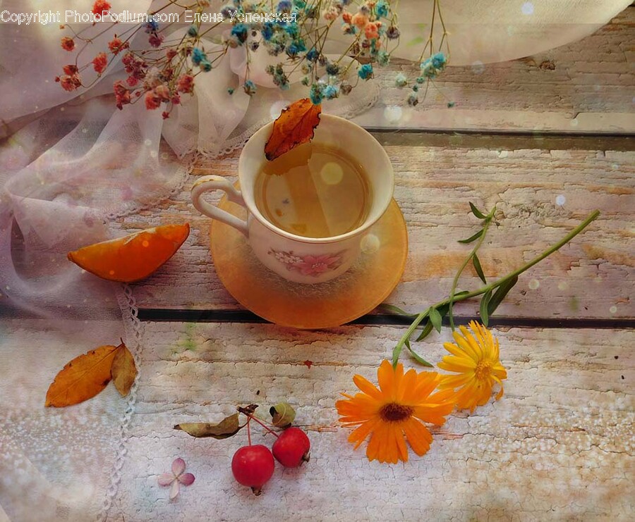 Plant, Pottery, Saucer, Cup, Coffee Cup