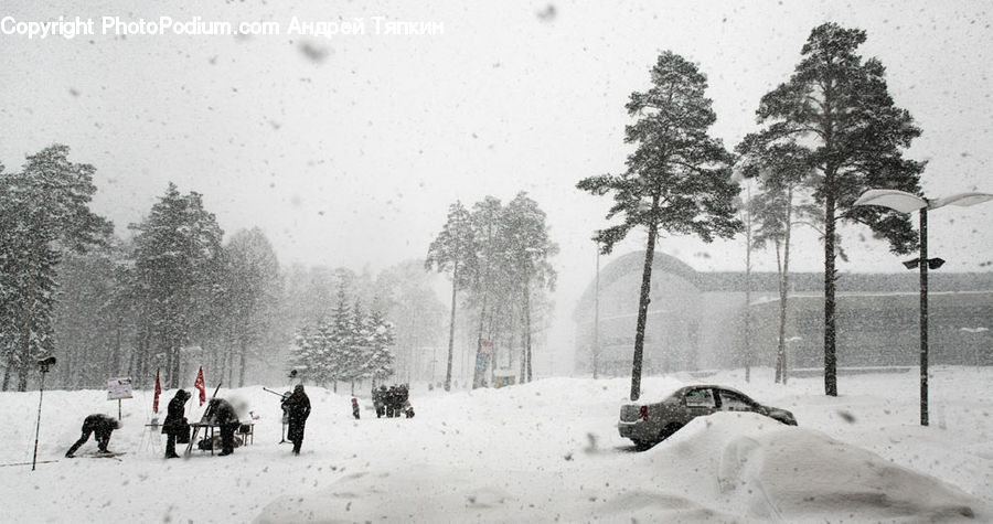 Blizzard, Outdoors, Snow, Weather, Winter, Ice
