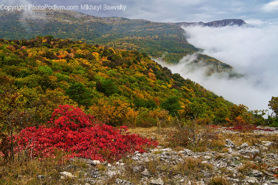 Nature, Outdoors, Mountain Range, Mountain, Wilderness