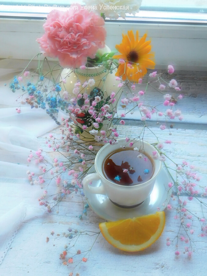 Plant, Saucer, Pottery, Vase, Jar