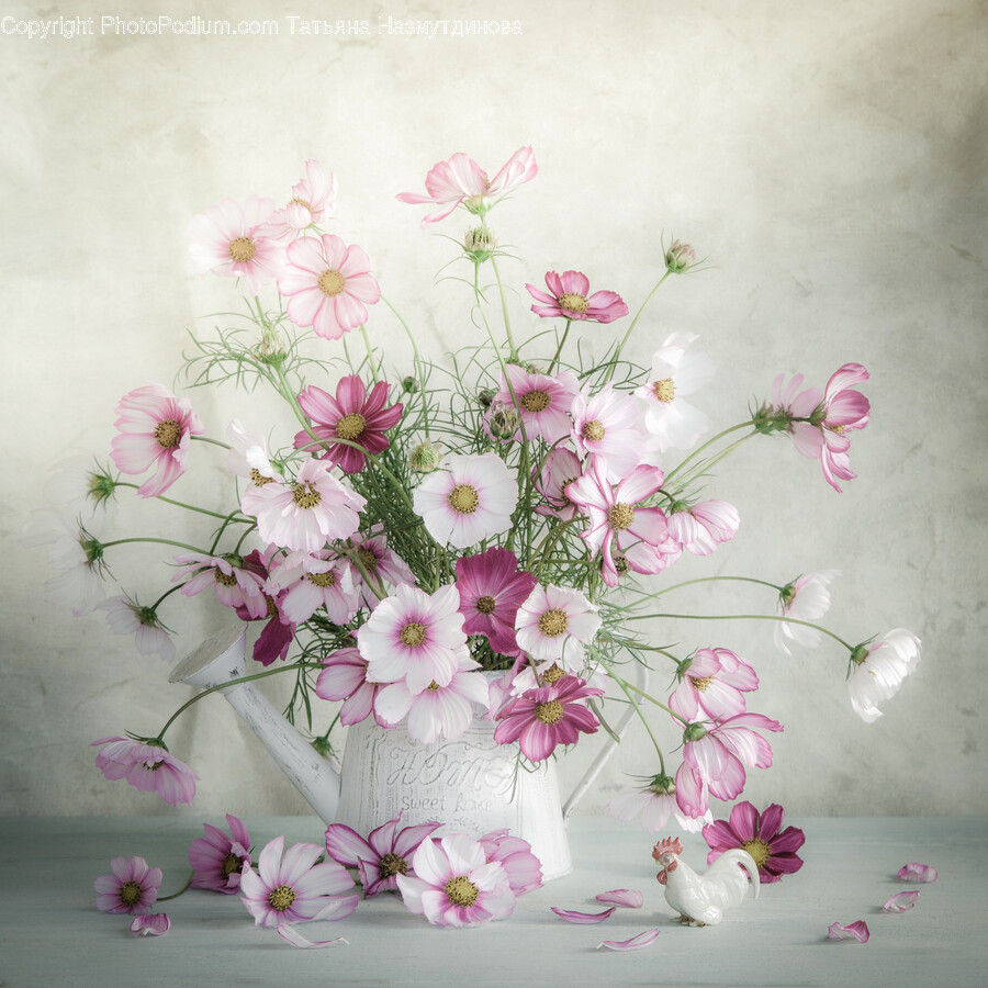Plant, Floral Design, Graphics, Art, Pattern