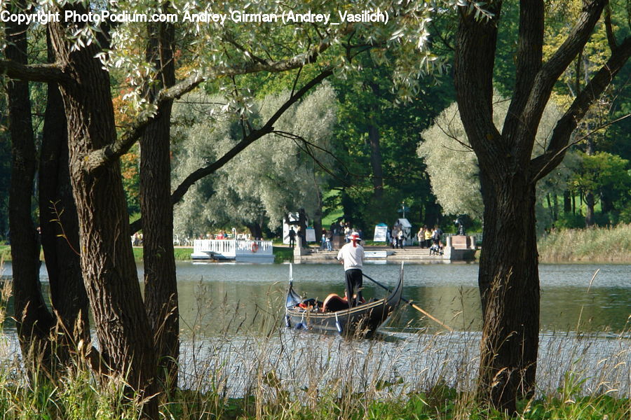 Boat, Rowboat, Vessel, Oak, Tree, Wood, Canoe