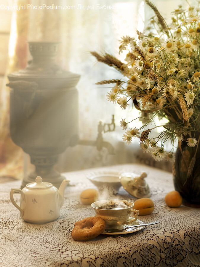 Pottery, Plant, Honey Bee, Animal, Invertebrate