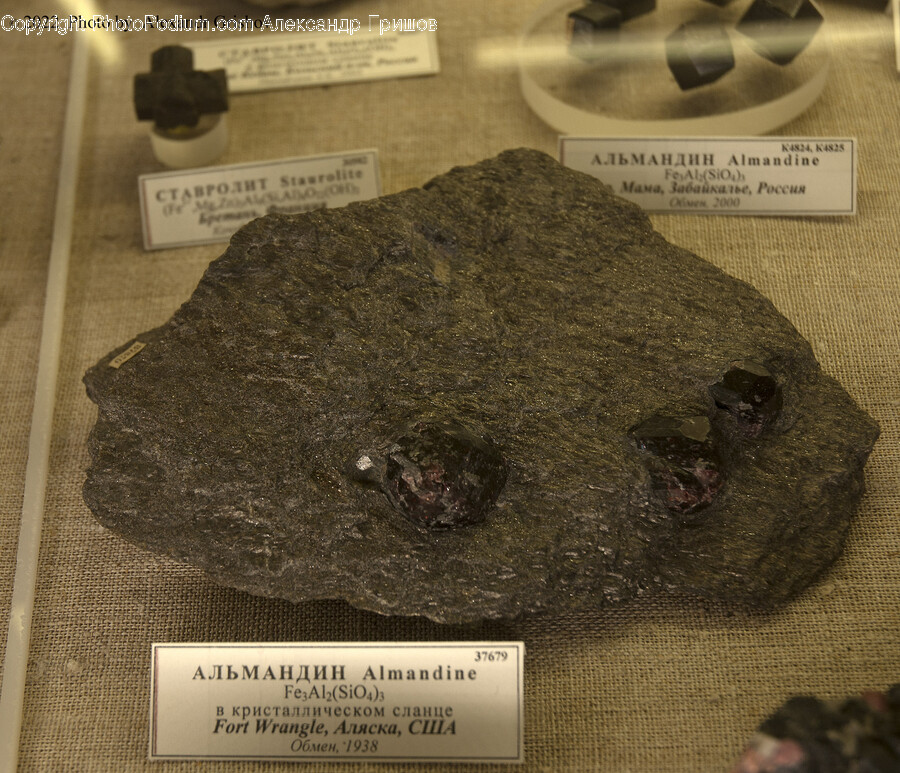 Mineral, Fossil, Soil, Plant, Cat