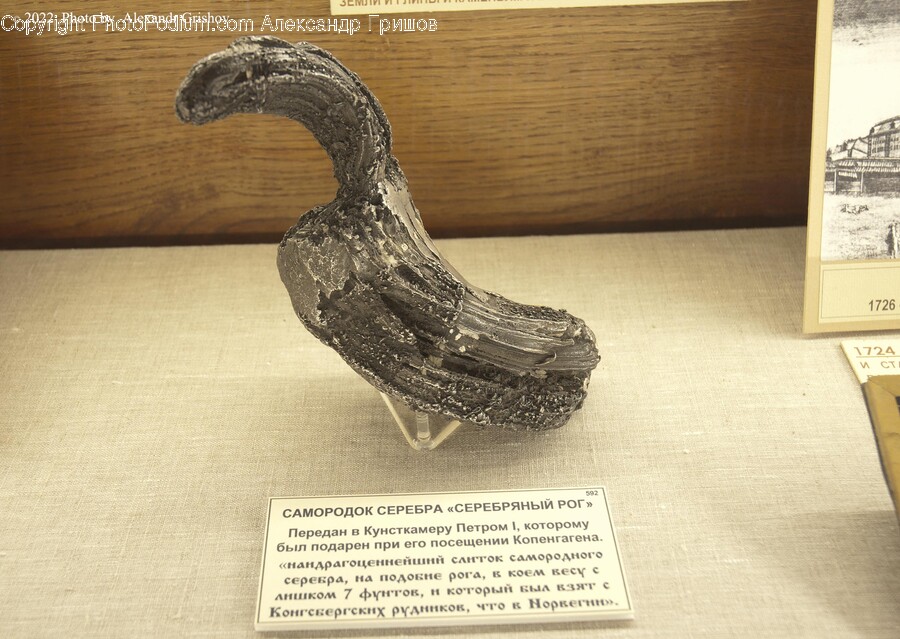 Wood, Bronze, Bird, Animal, Furniture