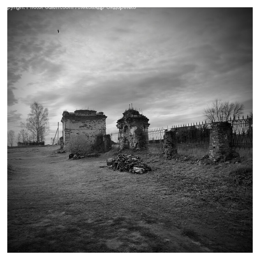 Ruins, Ground, Nature, Outdoors, Bird