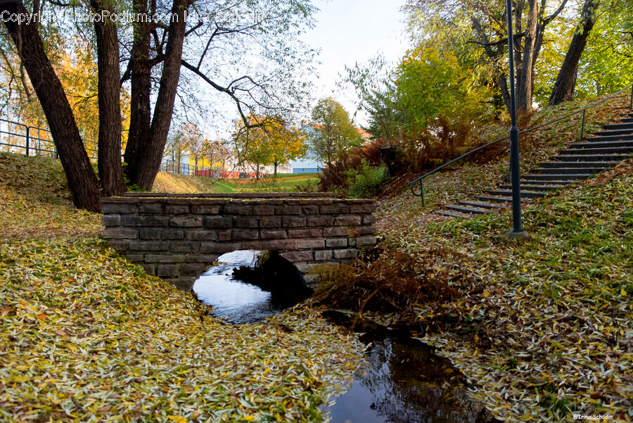 Outdoors, Water, Ditch, Nature, Tree