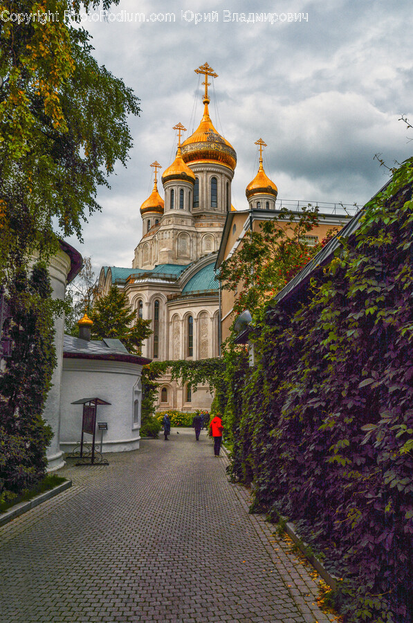 Person, Human, Dome, Architecture, Building