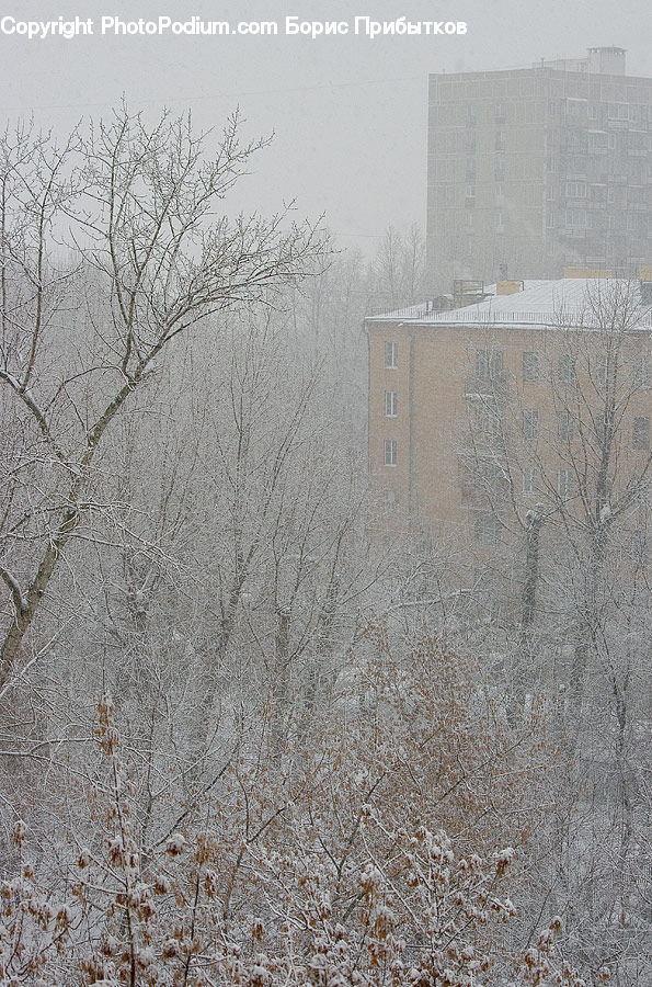 Blizzard, Outdoors, Snow, Weather, Winter, Landscape, Nature