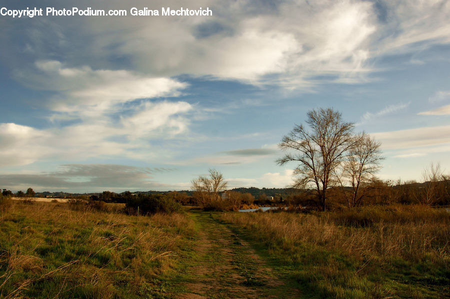 Field, Grass, Grassland, Land, Outdoors, Dirt Road, Gravel